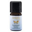 Farfalla | Ätherisches Öl | Eukalyptus radiata Bio | 5ml Flasche