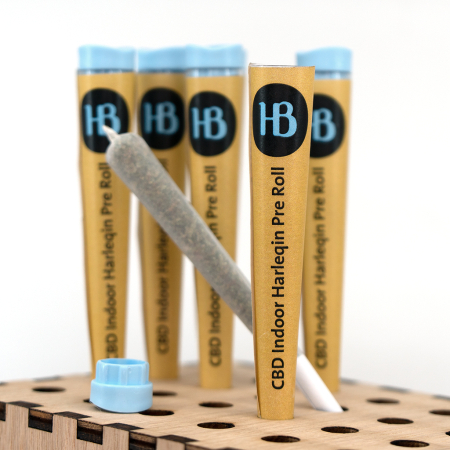 Herba di Berna | CBD-Joint | Harlequin