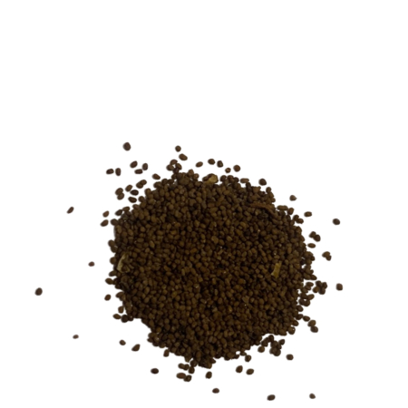 Nicotiana tabacum | Echter Tabak | 0,5gr Samen