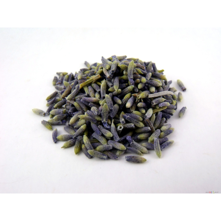 Lavendelblüten | Lavandula angustifolia